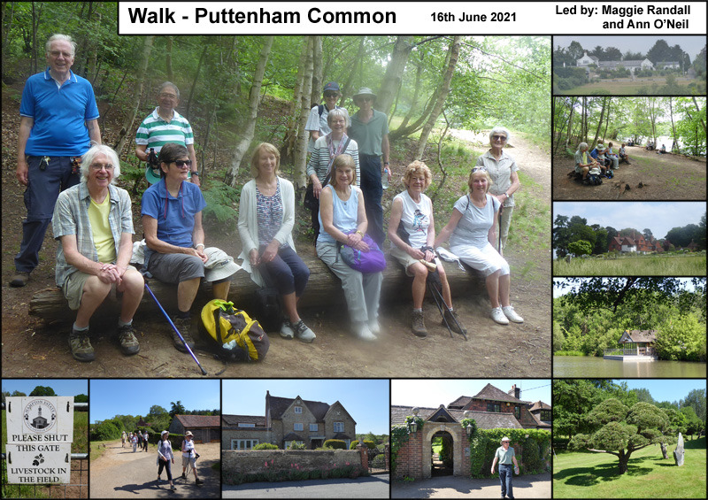 Walk - Puttenham Common - 16th June 2021